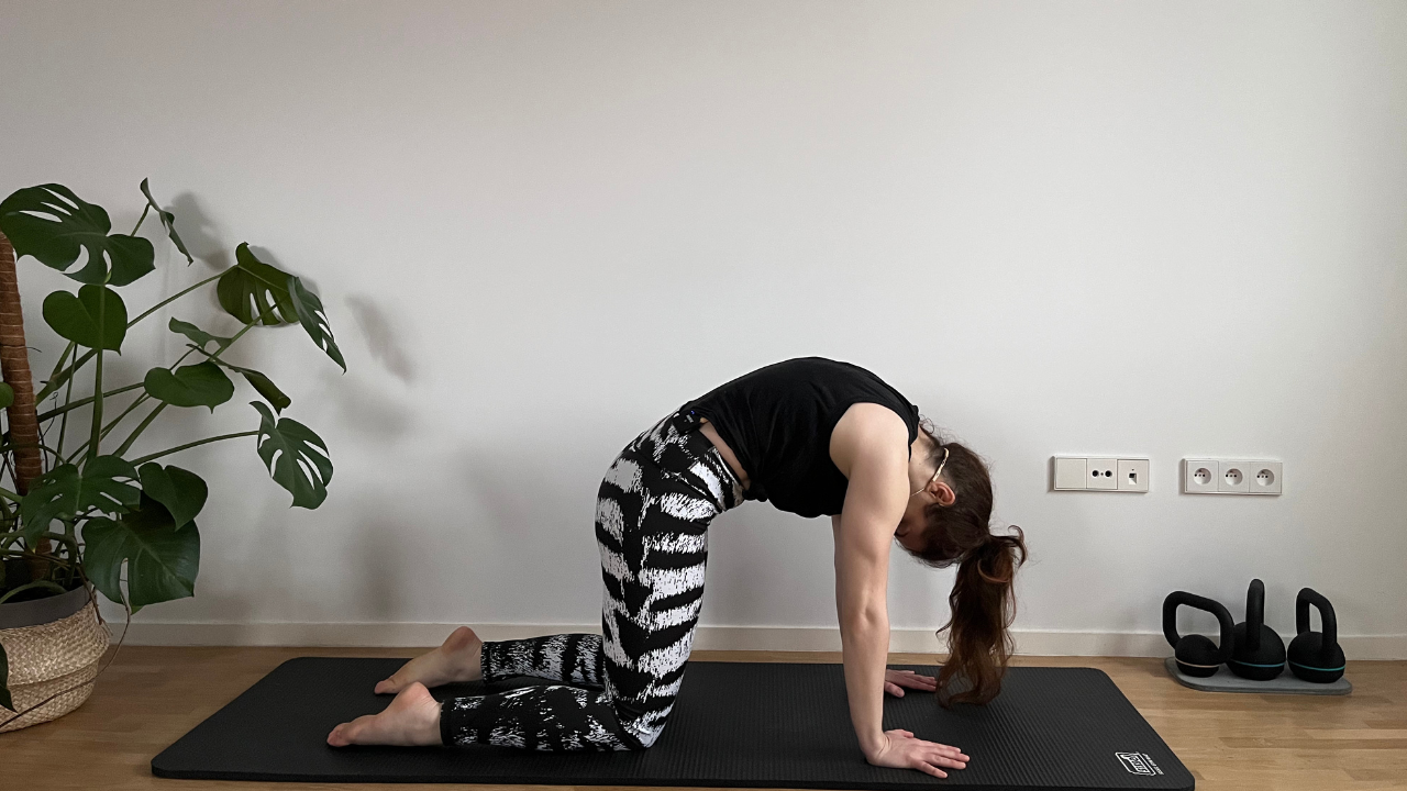 pilates et bien être du dos, yoga et pilates en ligne